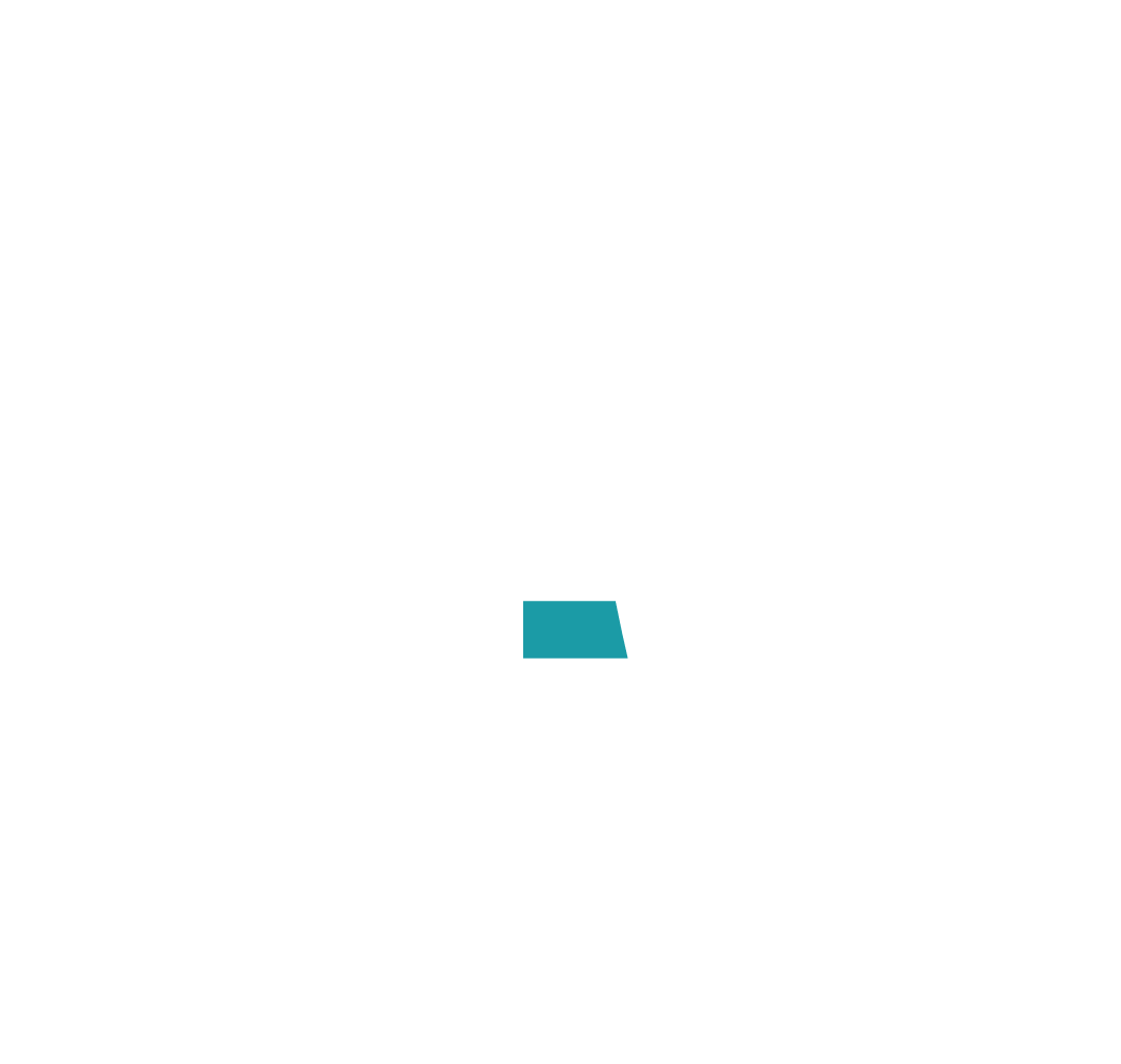 Japan Van Lines